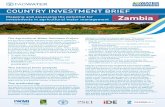 Zambia : Agricultural Investment Brief