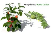 XfrogPlants Home Garden
