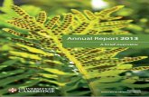 Annual report 2013: A brief overview
