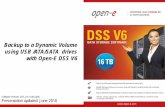 Backup to a Dynamic Volume using USB /ATA/SATA drives with Open-E DSS V6 - EN
