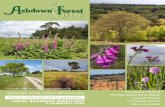 Ashdown Forest Living May Edition