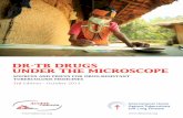 Under the Microscope - 3rd Edition