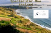 Spectacular New Zealand!