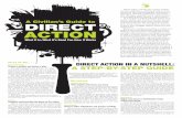 a civillians guide to direct action