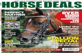 Horse Deals January 2012
