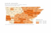 Aspire Arkansas 2nd Edition - all maps - Arkansas Community Foundation