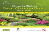 Clyne in Bloom 2013