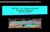 AIESEC in Switzerland Annual Report 12-13