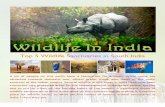 Top 5 wildlife sanctuaries in south  India