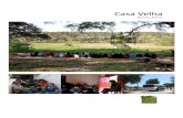 Casa Velha Activities Report 2012