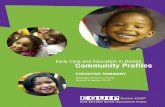 2009 Community Profiles - Executive Summary