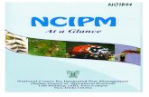 NCIPM at a Glance, NCIPM