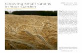 Growing Small Grains in Your Garden - Circular 135