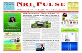 NRI Pulse Newspaper June 2013 issue