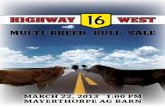 Highway 16 Multi-Breed Bull Sale Catalog