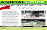 Animal Voice - Dec 2011 Issue