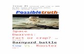 Possible Truth issue #1