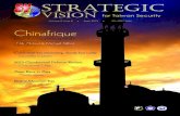 Strategic Vision, Issue 8