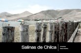 Salinas de Chilca # 2
