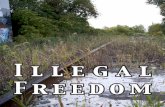 Illegal Freedom