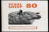 Texel Sheep Society Journal, 1980