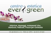 Estetica Ever Green Arezzo