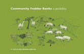 Community Fodder Banks: a guideline