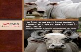 Dinâmica da Pecuária Bovina e Bubalina no Estado do Pará