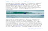 Summer Camp and Surf Adventure
