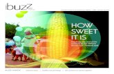 Buzz Magazine: Aug. 21, 2008