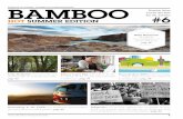 BAMBOO #6 - Special Summer Edition