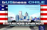 bUSiness CHILE