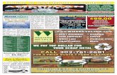 American Classifieds FR 7-29-10