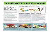 Summit Auction Update