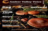 Amber Valley Voice, Swanwick, Riddings and Leabrooks Edition, November/December 2012