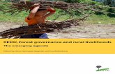 REDD, forest governance and rural livelihoods: the emerging agenda
