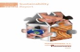 Grupo Paranapanema - Sustainability Report 2008