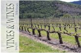 March 2013 Del Rio Vineyards Newsletter