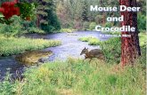 Mouse Deer and Crocodile
