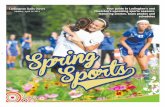 Spring sports tab #3