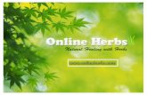 Buy Cheapest Avesta Ayurceutics Shatavari Online-Natural Herbal Remedies for Women Fertility Health