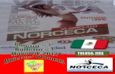 Boletín No 1 Voleibol de Playa Norceca- Toluca