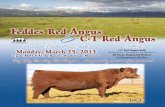 2013 CT / Feddes Bull Sale Catalog