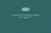 CEA 2013 Organizational Report