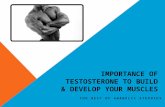 Importance of testosterone to build & develop your muscles