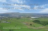 Burnley and the Surrounding Areas