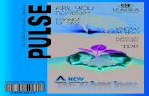 PULSE  -  A New Begining