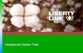 2013 Cotton Trait Pipeline - LibertyLink Seed Trait