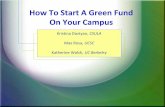 How to Start a Green Fund