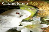 Gaston Alive - November 2011
